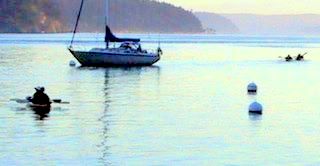 Orcas Island Kayak Rentals,
          Orcas Island Kayaking